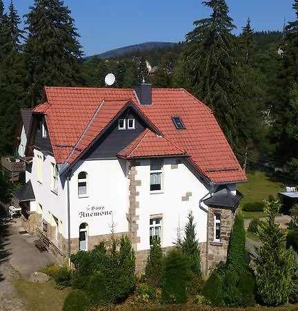 Heine Apartment-Friedegerns Fewo Schierke Bagian luar foto