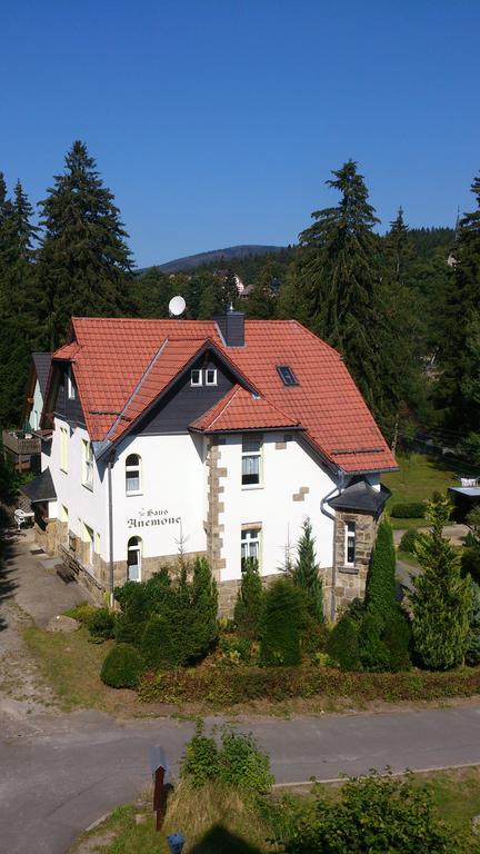 Heine Apartment-Friedegerns Fewo Schierke Bagian luar foto