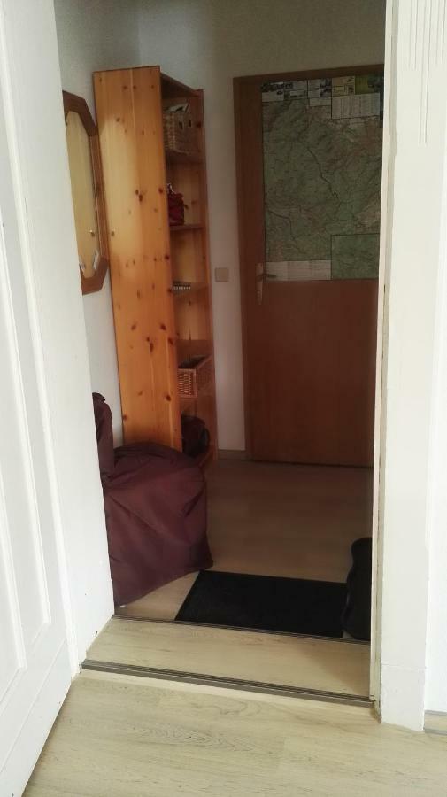 Heine Apartment-Friedegerns Fewo Schierke Bagian luar foto